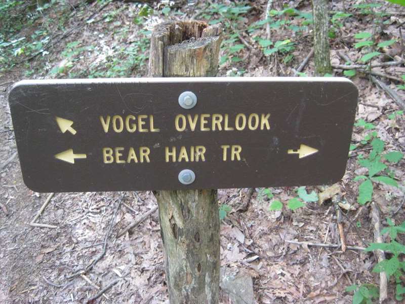 The Vogel Overlook is on a short side trail.