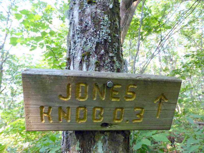 Shortly into the hike, we come to the side trail leading to Jones Knob.