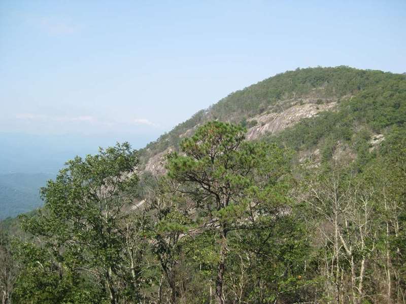 Back on the Bartram Trail we come to a view point looking over to Whiterock Mountain..
