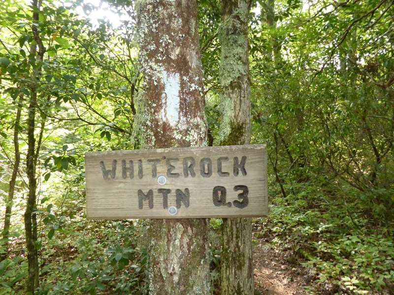 The side trail to Whiterock Mt.