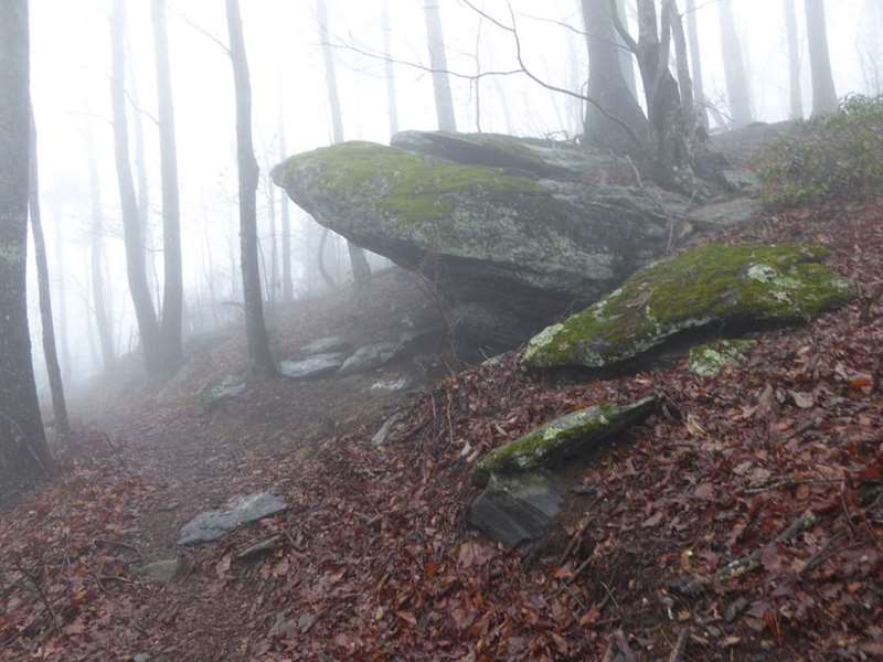 Lots of boulders and rock ledges as we climb higher up the mountain..