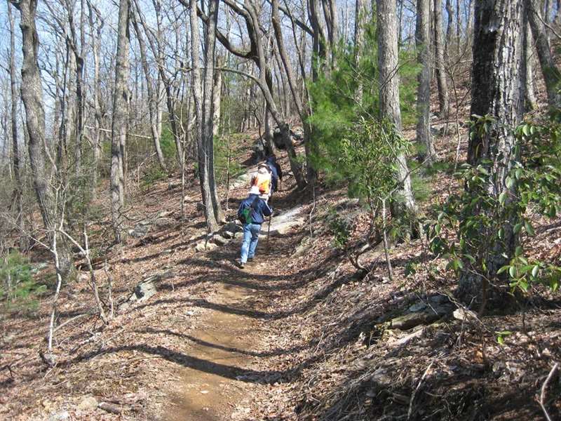 These hills are significant but not near as steep as the section from Woody Gap to Gooch Gap.