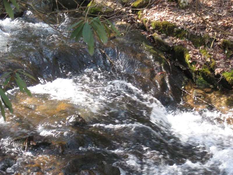 Plenty of water along today's section of the A.T.!