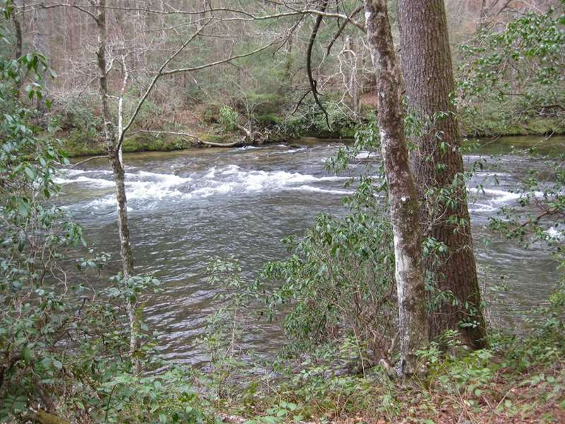 The "Wild and Scenic" Chattooga River!