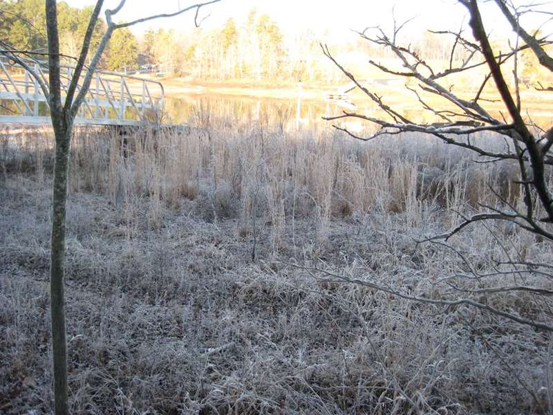 A heavy frost.
