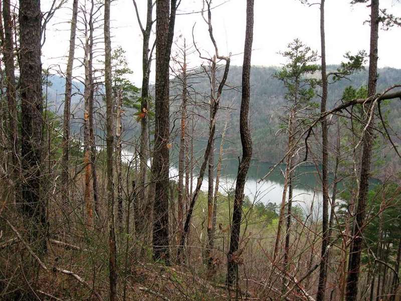 Here we see the upper gorge end of Tugalo Lake. The Tallulah River forms this arm of the lake and the Chattooga River forms the other arm of the lake forming a Y-shped lake and becomes the Tugalo River below the dam.