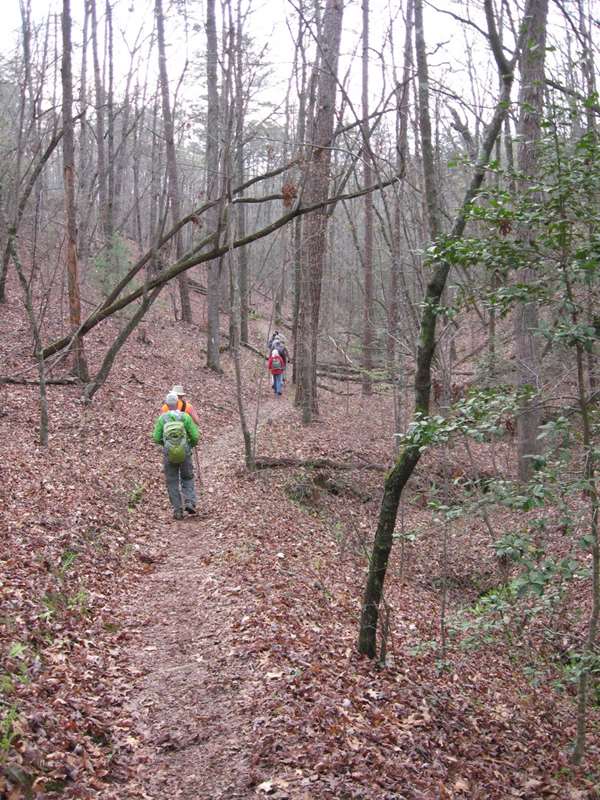 A beautiful woodland hike down to the Chattooga River.