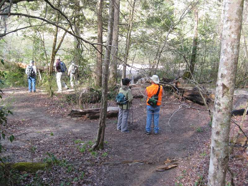 We arrive at the Chattooga River.