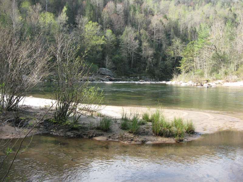 This is the point where Opossum Creek merges with the Chattooga.
