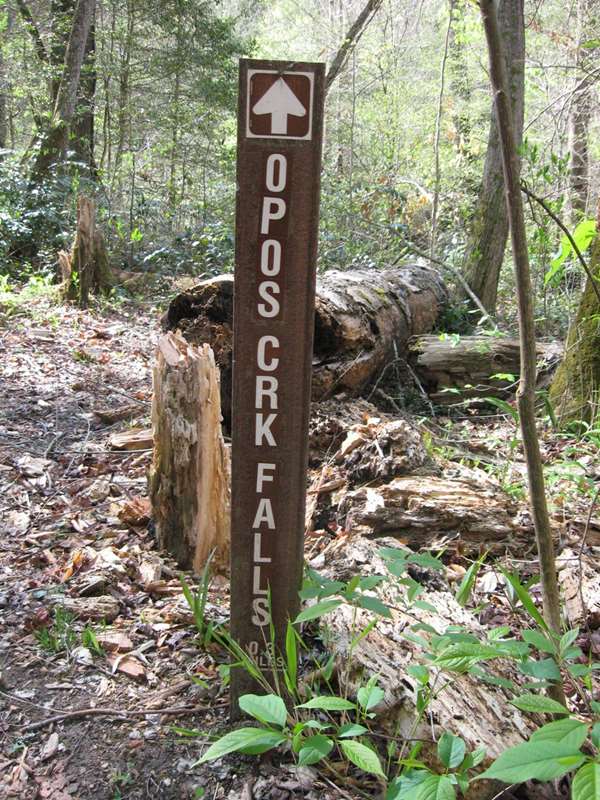 This trail leads up Opossum Creek to the Falls.