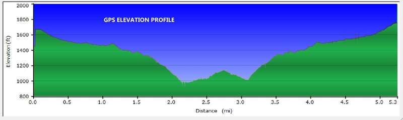 Our elevation profile.