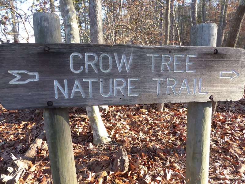 There are several shorter trails along the way.