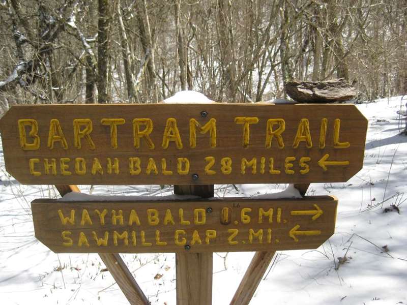 We pass the intersection with the Bartram Trail here.