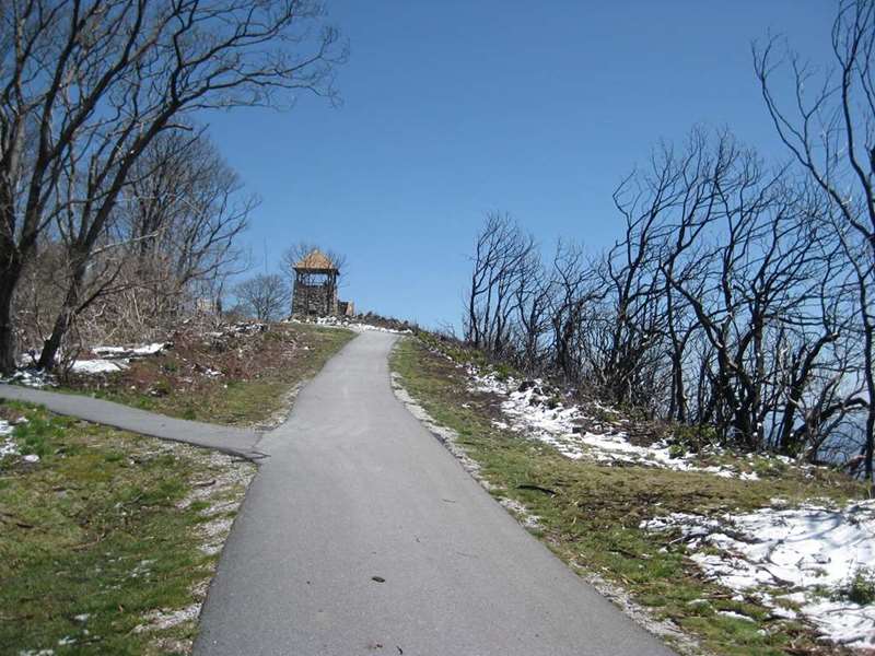 Approaching Wayah Bald, we see lots of scorched trees from the huge forest fire a year and a half ago.