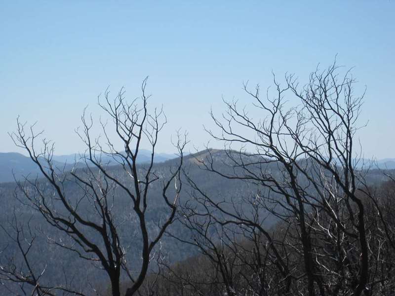 Great mountain views from Wayah Bald - here, we see Siler Bald.