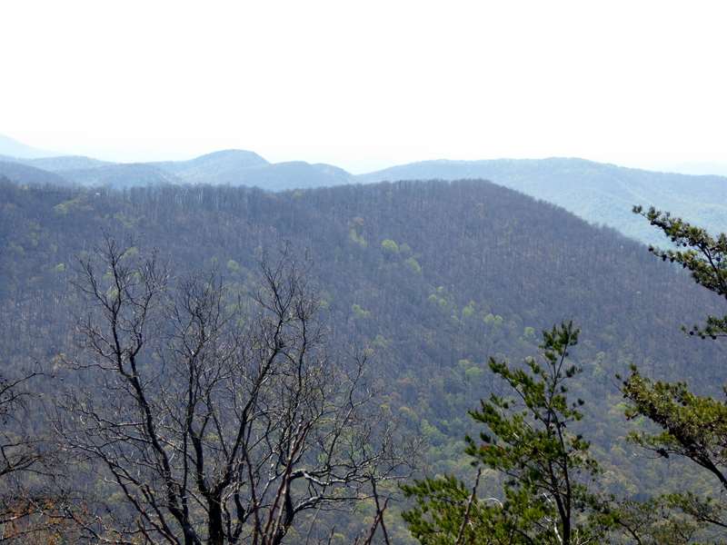 Nice views from Wolf Laurel Top!