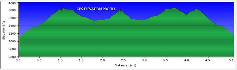 Our elevation profile.