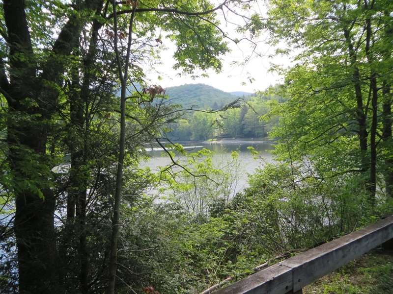 Next, we go up the road to Lake Winfield Scott for our loop hike to Blood Mt.