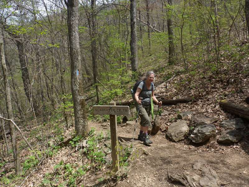 Trail intersection with the Appalachian Trail.