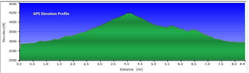 The elevation profile.