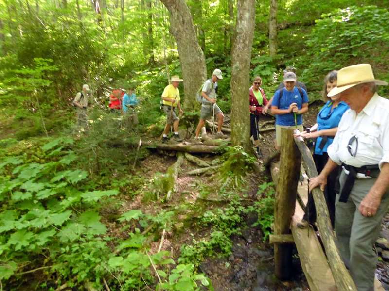 Crossing a footbridge early into the hike.