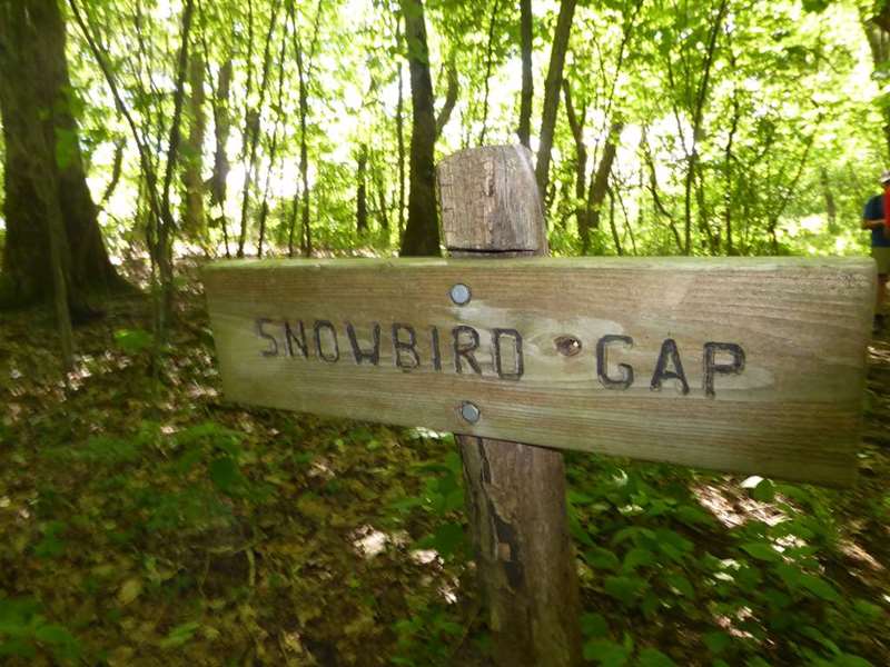 Snowbird Gap is just below the grassy slope to Siler Bald.