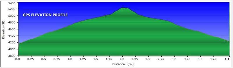 Our elevation profile.