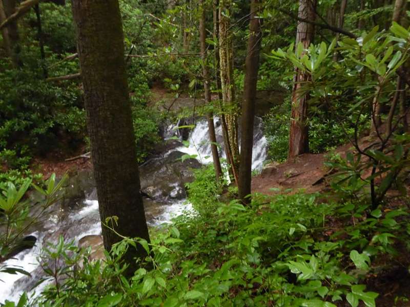 The trail along Dodd Creek has lots of rushing water and small waterfalls.