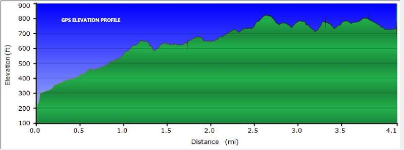 Elevation profile.