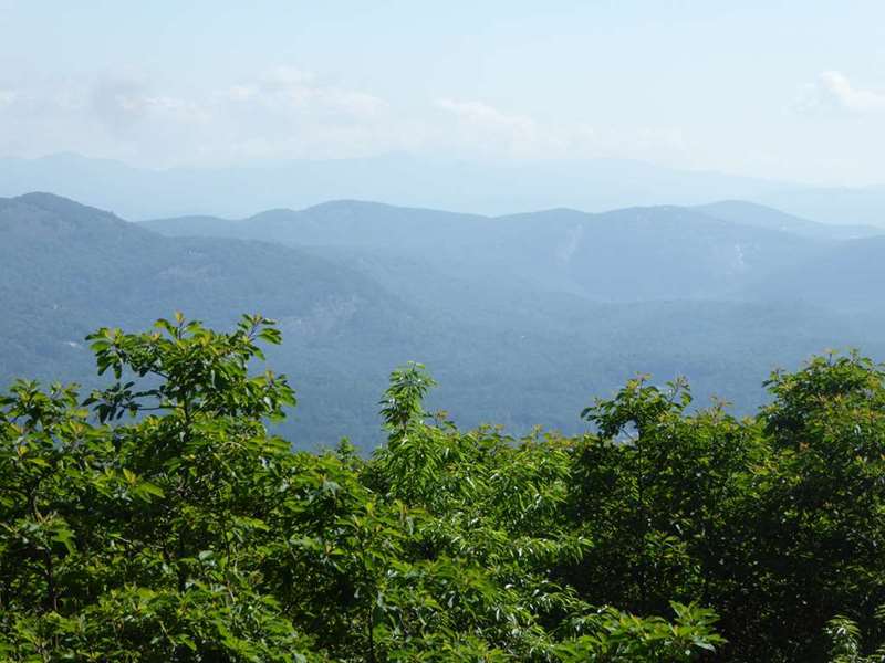 After walking uphill for 3/4 mile or so, we come to the first of many views!