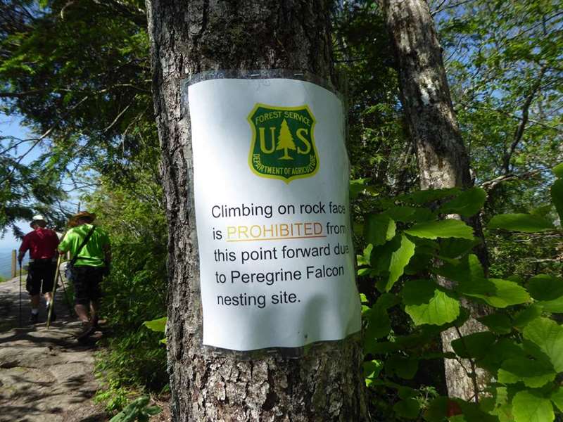 Falcon protection sign.