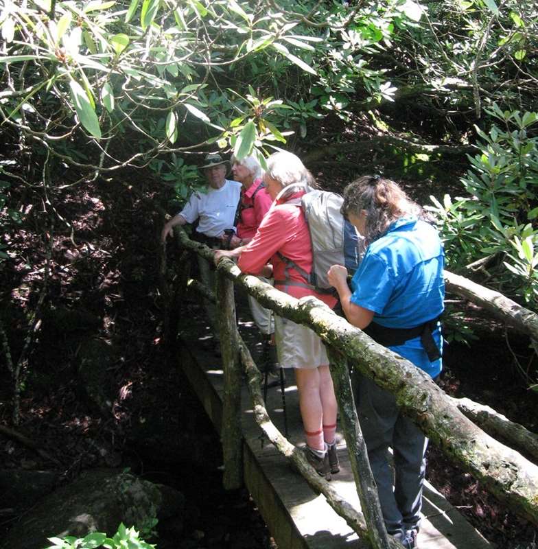 Crossing a footbridge early into the hike.