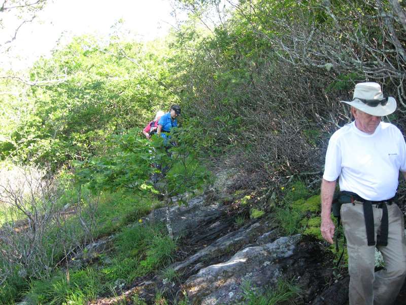 Most of the trail from this point up is solid rock.