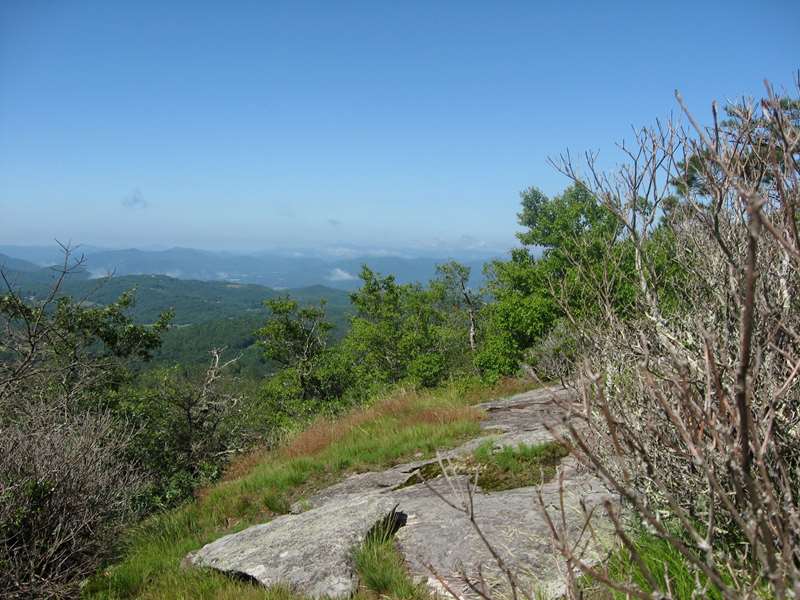 Lots of view points.