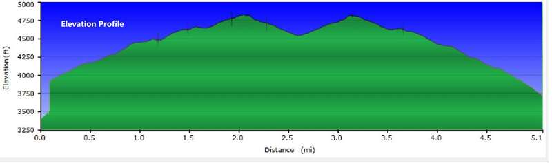 Elevation Profile