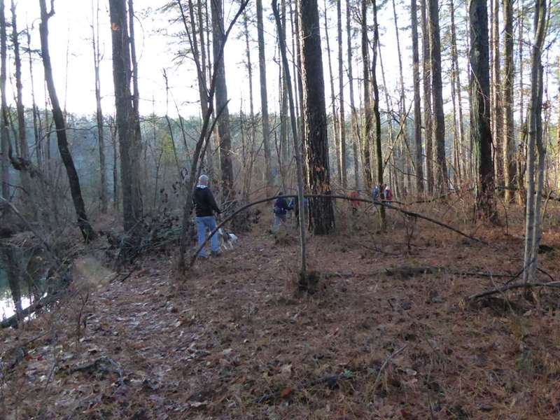 The trail is mostly woodland along the lakeshore.