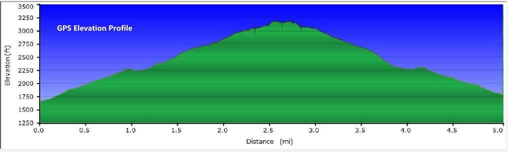 Elevation Profile