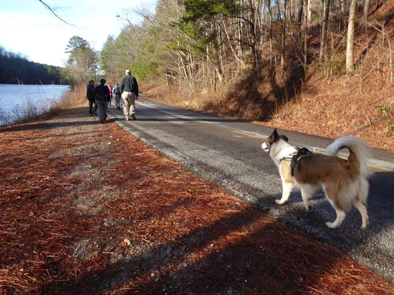 A short portion of the trail follows the park road.