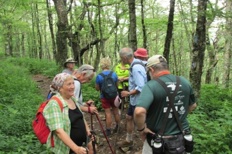 Another great day for a hike on the Appalachian Trail.