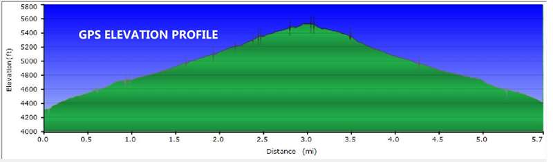 Elevation Profile