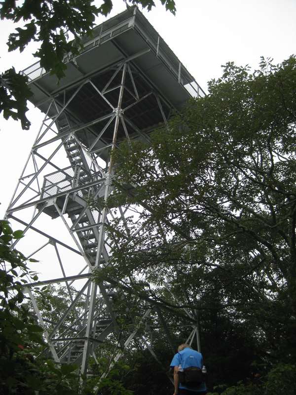 Next, we drive up the road a couple of miles to an access trail to the A.T. and Albert Mt.
