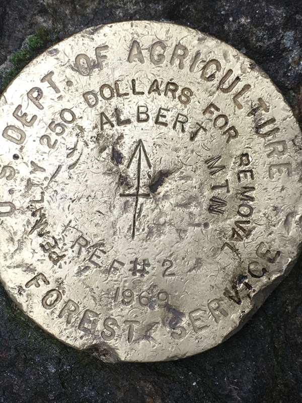 Survey marker at the summit of Albert Mt..