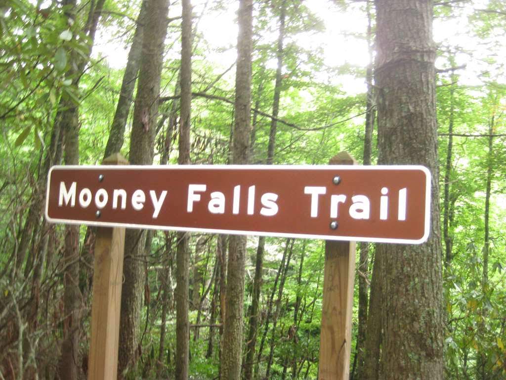 Next, we move down the road toward Standing Indian Campground to the Mooney Falls Trail.