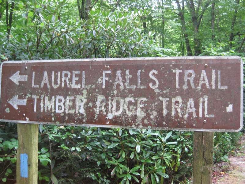 Our final trail of the day!