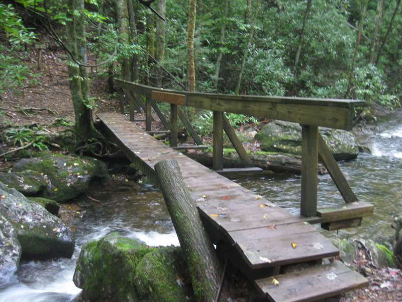 Creek crossing to Laurel Falls Trail.!