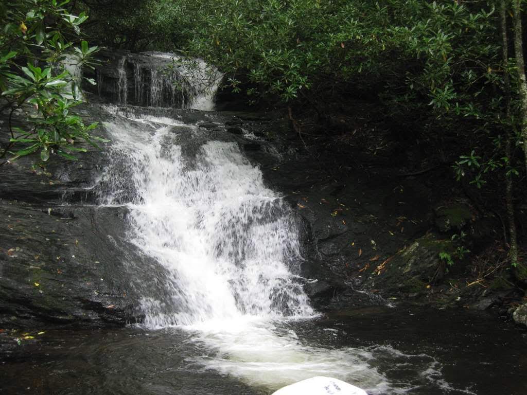 Beautiful Laurel Falls!