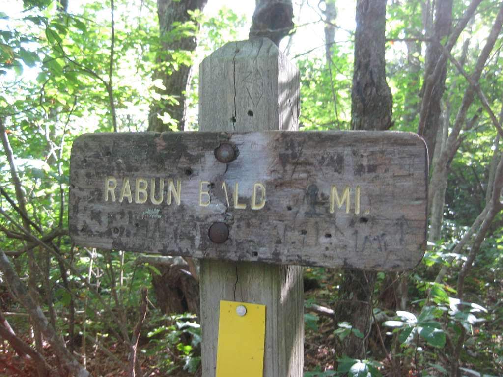 The Bartram Trail is joined here about halfway up to the bald..