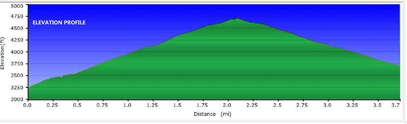GPS elevation profile