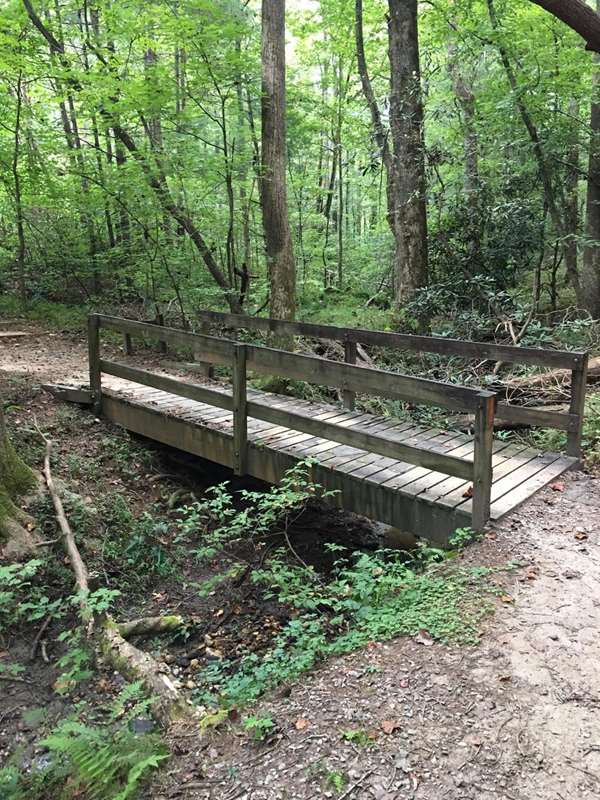 Lots of nice footbridges along the trail