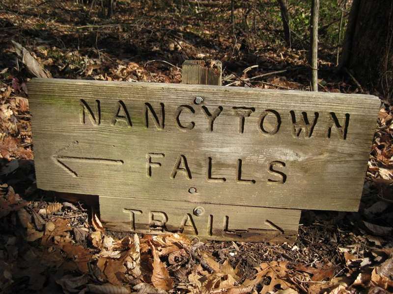On the Sourwood Trail